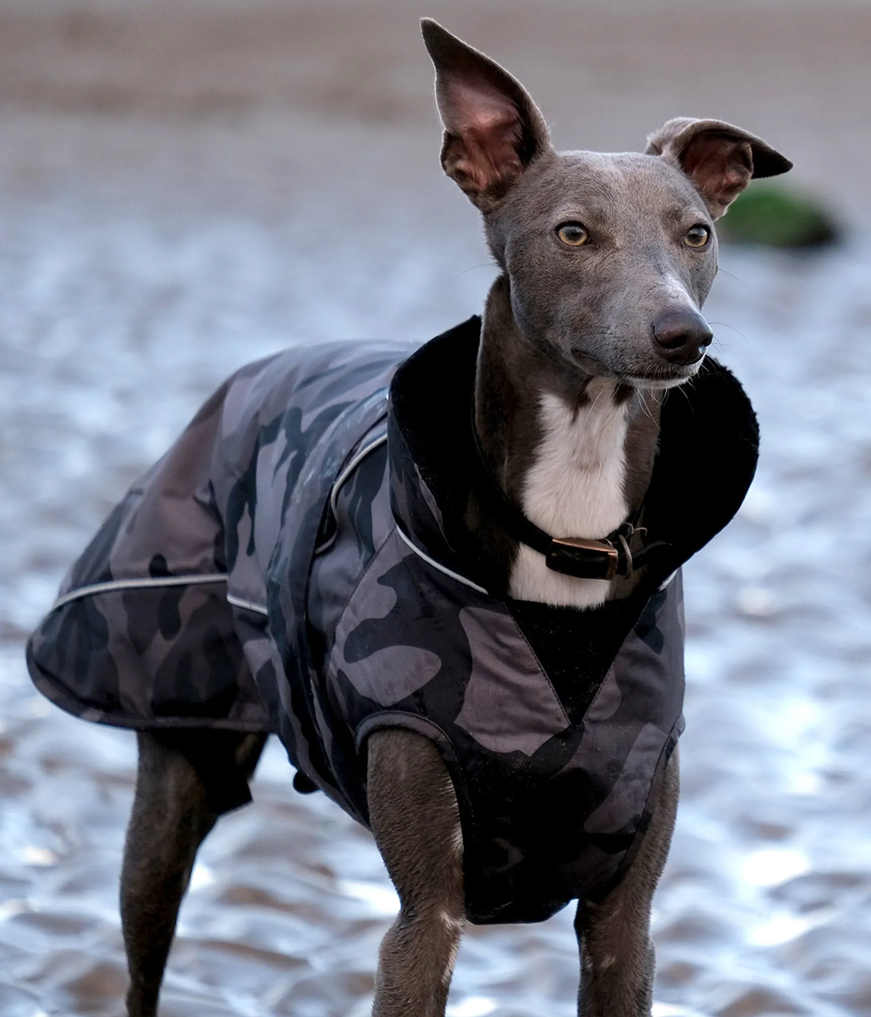 Dryrobe Dog Jacket (Dog Robe)