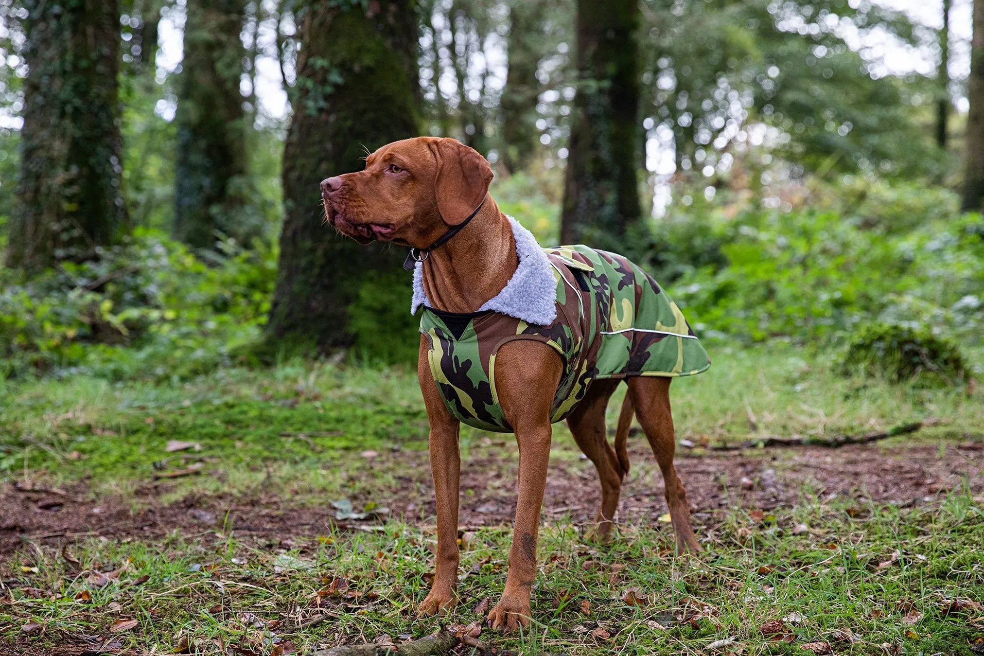 Dryrobe Dog Jacket (Dog Robe)