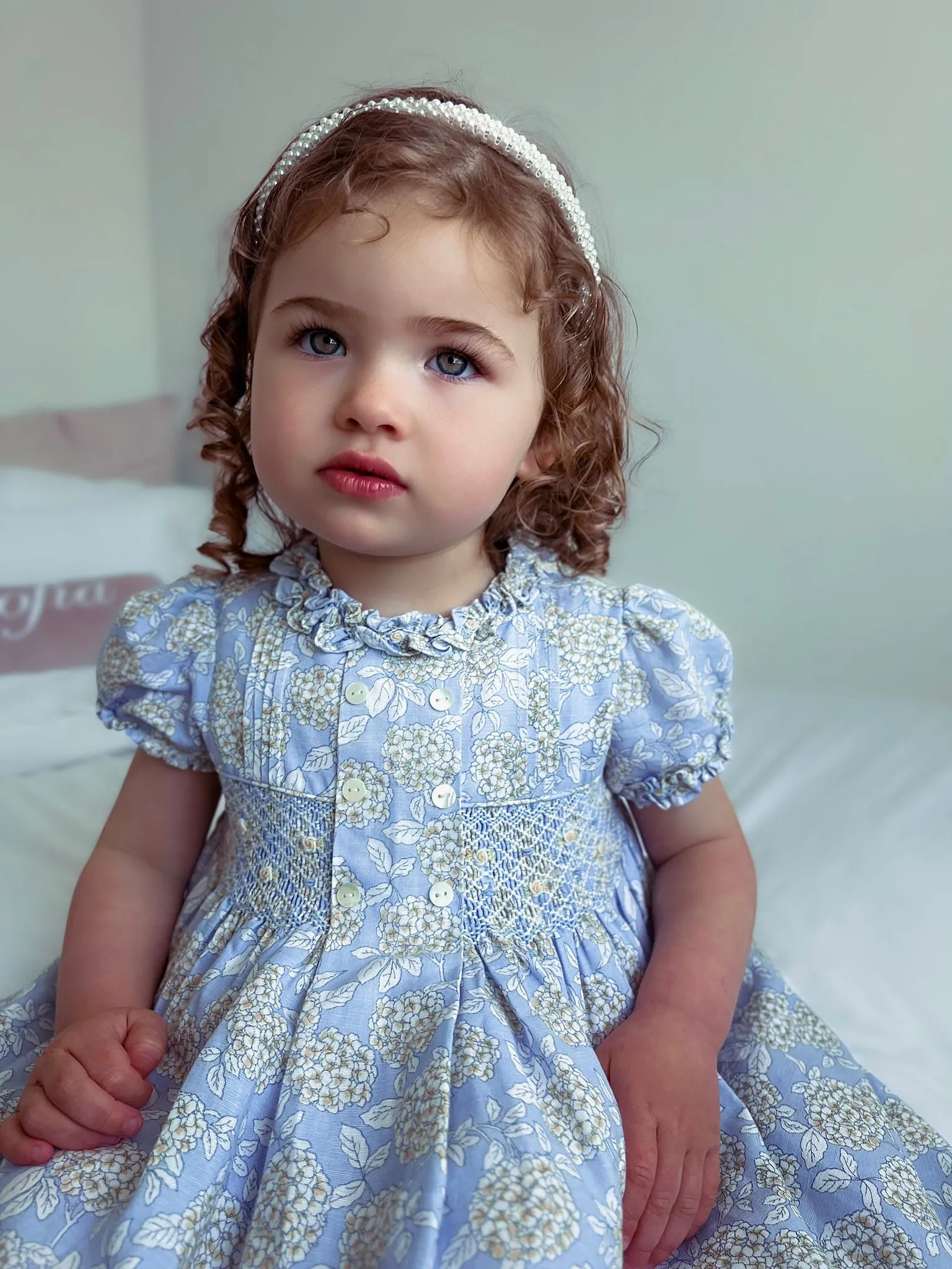 Sarah Louise Blue Hydrangea Smocked Dress